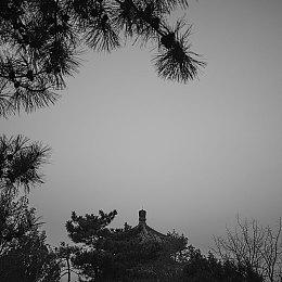 一男子恶意“找回”游戏账号被抓：行政拘留8天